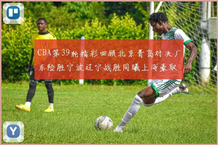 CBA第39轮精彩回顾北京青岛对决广东险胜宁波辽宁战胜同曦上海豪取20连胜