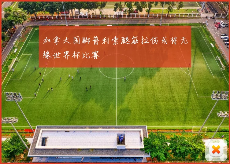 加拿大国脚普利索腿筋拉伤或将无缘世界杯比赛